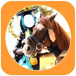 Hijab Women With Horse Photos | Indus Appstore | App Icon