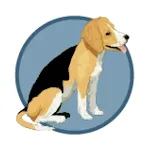 FunkstownVet | Indus Appstore | App Icon