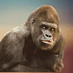 Gorilla Sounds | Indus Appstore | App Icon