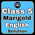 Class 5 English Solution MCQsapp icon