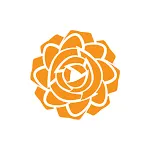 Dutch Rose | Indus Appstore | App Icon