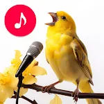 Bird Sounds, Calls & Ringtonesapp icon