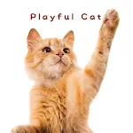 Cute wallpaper-Playful Cat- | Indus Appstore | App Icon