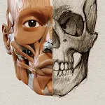 3D Anatomy for the Artist | Indus Appstore | App Icon