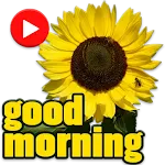 Animated Good Morning Stickers | Indus Appstore | App Icon