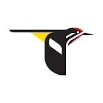 Merlin Bird ID by Cornell Lab | Indus Appstore | App Icon