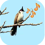 Singing Birds | Indus Appstore | App Icon