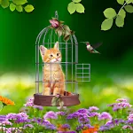 Cat and Hummingbirds Wallpaper | Indus Appstore | App Icon