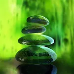 Green Zen Live Wallpaper | Indus Appstore | App Icon