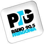 Radio Patagonia | Indus Appstore | App Icon