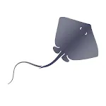 Stingrays Live | Indus Appstore | App Icon