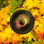 Aki Camera -Autumn & halloween | Indus Appstore | App Icon