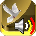 Albanian English French German | Indus Appstore | App Icon