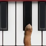 Dog Piano | Indus Appstore | App Icon