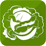 Cabbage Recipes | Indus Appstore | App Icon