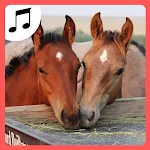 Sounds of farm animals. | Indus Appstore | App Icon