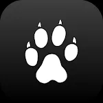 Cheetah | Indus Appstore | App Icon