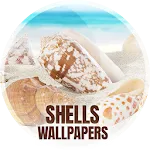 Wallpapers with shells in 4K | Indus Appstore | App Icon