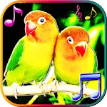 Birds Sounds & Live Wallpapers | Indus Appstore | App Icon