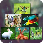 Zoology Basics | Indus Appstore | App Icon