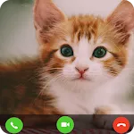 Cat Fake Video Call prank | Indus Appstore | App Icon