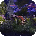 Aquarium Live Wallpaper | Indus Appstore | App Icon