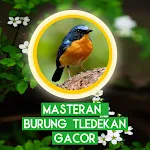 Masteran Burung Tledekan Gacor | Indus Appstore | App Icon