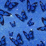 Butterfly Wallpaper | Indus Appstore | App Icon