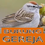 Master Kicau Burung Gereja | Indus Appstore | App Icon