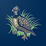 Quail Tools | Indus Appstore | App Icon