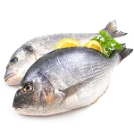 Fish Recipesapp icon