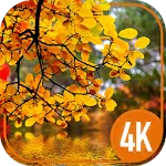 Autumn Cool Wallpapers | Indus Appstore | App Icon