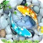 HD Fish Wallpaper | Indus Appstore | App Icon