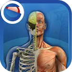 The Human Body | Indus Appstore | App Icon