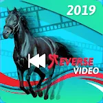 Reverse Video | Indus Appstore | App Icon