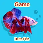 Betta Fish Seller | Indus Appstore | App Icon