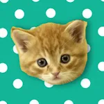 Musical Kittens | Indus Appstore | App Icon