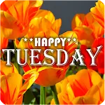 HAVE A SPLENDID TUESDAY | Indus Appstore | App Icon