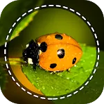 Insect identifier by Photo Cam | Indus Appstore | App Icon