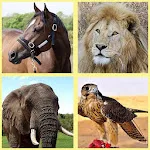 Kids' World of Animals | Indus Appstore | App Icon