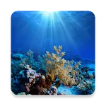 Oceanography | Indus Appstore | App Icon