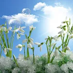 Snowdrops Live Wallpaper HD | Indus Appstore | App Icon