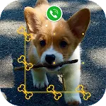 AppLock Live Theme - Corgi | Indus Appstore | App Icon