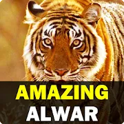 Amazing Alwar | Indus Appstore | App Icon