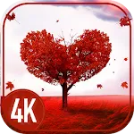 Love wallpapers daily | Indus Appstore | App Icon