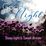 Good Night | Indus Appstore | App Icon