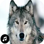 Wolf Sounds Ringtones | Indus Appstore | App Icon