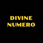 DIVINE NUMERO | Indus Appstore | App Icon