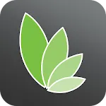 Wellness by LetsLose | Indus Appstore | App Icon