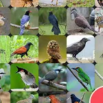 Thai Bird Sounds | Indus Appstore | App Icon